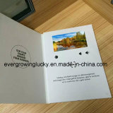 Chinese Factory Cardboard Video Book \Video Booklet with Cmyk Printing